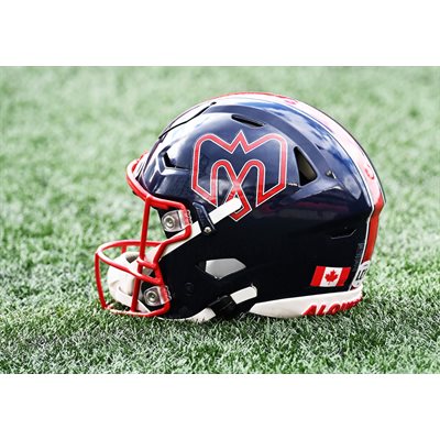 Alouettes 2024