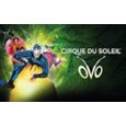 OVO - Cirque du Soleil 2024